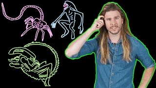 Alien Xenomorph Biology Explained Because Science w Kyle Hill [upl. by Nailij]