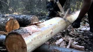 How to use a Drawknife  Drawshave  Peeling logs [upl. by Barraza]