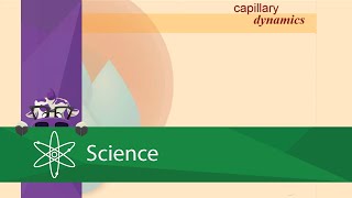 Capillary Dynamics [upl. by Notwen]