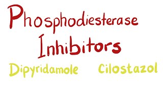 Phosphodiesterase PDE Inhibitors [upl. by Virgel]