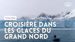 En croisière dans les glaces  Thalassa [upl. by Coumas]