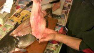 How to Fillet a Catfish  Easy and Simple Catfish Filleting [upl. by Meit]