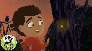 Through the Woods  Fairies and Fireflies  PBS KIDS [upl. by Ellerahc730]