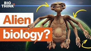 Alien biology What might ET actually look like  Michio Kaku EO Wilson amp more  Big Think [upl. by Alliuqahs]