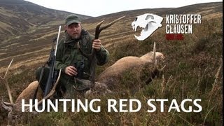 Hunting red stags in Scotland by Kristoffer Clausen Awesome killscenes [upl. by Mauralia]