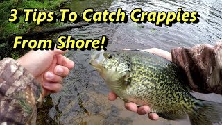 3 Crappie Fishing Tips Guaranteed To Catch Crappies From Shore [upl. by Levania]