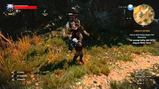 The Witcher 3 Easy way to kill a Werewolf [upl. by Raff]