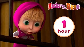 Masha and the Bear 🎄 SANTA BABY 🎁 Best Christmas episodes collection 🎬 Cartoons for kids [upl. by Ayinat]