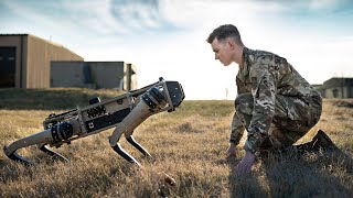 Meet the Futuristic Military Robot Dog [upl. by Giffy]