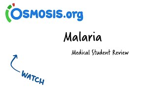 Malaria  Osmosis Study Video [upl. by Rebmyt]