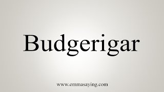 How To Say Budgerigar [upl. by Nicholson756]