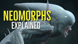 Neomorphs Explained Alien Covenant SPOILERS [upl. by Ayikaz399]