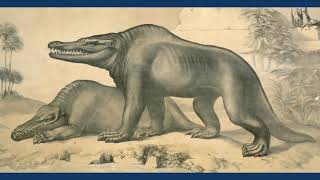 The Discovery Of Megalosaurus  The First Dinosaur [upl. by Tamarah]