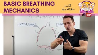 Basic Breathing Mechanics [upl. by Aihppa644]