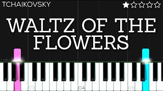 Tchaikovsky  Waltz of the Flowers  EASY Piano Tutorial [upl. by Ennyletak]