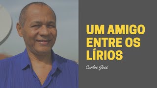 UM AMIGO ENTRE OS LÍRIOS  344  HARPA CRISTÃ  Carlos José [upl. by Tuorah]