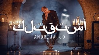 ANDRIJA JO  SHTATELEK OFFICIAL VIDEO [upl. by Aloke]