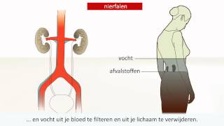 Nieraandoening  Oorzaak en behandeling [upl. by Stone]