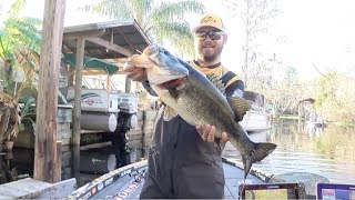 2019 Bassmaster Elite Series at St Johns River [upl. by Rhynd]