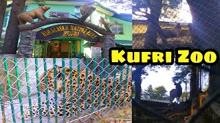 Himalayan Nature Park Kufri  Kufri Zoo  Shimla  Himachal Tourism  TampT Relish [upl. by Hueston]