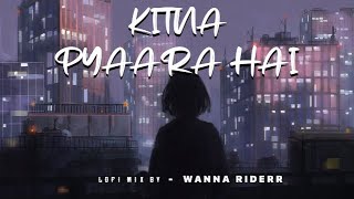 Kitna Pyaara Hai  Lofi Mix [upl. by Bacchus]