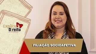 Explica Direito Filiação Socioafetiva  2019 [upl. by Fenny23]