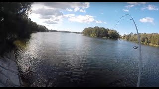 Flathead fishing using bladed vibes in Narrabeen lagoon [upl. by Unni]