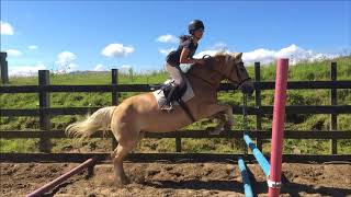 Beginner Jumping Lesson [upl. by Aihcats]