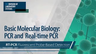 Basic Molecular Biology PCR and RealTime PCR – RTPCR Fluorescent ProbeBased Detection [upl. by Idrahs]