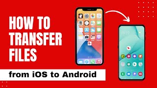 How to Use Zapya to Transfer Files From iPhone to Android [upl. by Htinnek]