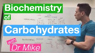 Carbohydrates  Biochemistry [upl. by Johnath608]