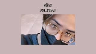 เพื่อน  POLYCAT  เนื้อเพลง [upl. by Eblehs67]