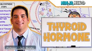 Endocrinology  Synthesis of Thyroid Hormone [upl. by Laehcar44]