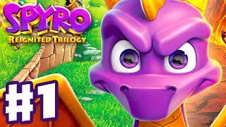 Spyro Reignited Trilogy  Spyro The Dragon  Gameplay Walkthrough Part 1  Artisans 120 [upl. by Nannoc]