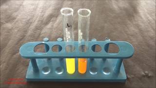 Phytochemical Test for Flavonoid  Flavonoid Identification Test  Flavonoid Test  ENGLISH [upl. by Comstock]