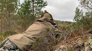 Sika Stag Stalking North of Scotland [upl. by Ahiel]