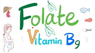 Vitamin B9 Folate 🥬  Folic  Structure Function Folate Deficiency Anemia Diagnosis amp Treatment [upl. by Vincenz451]