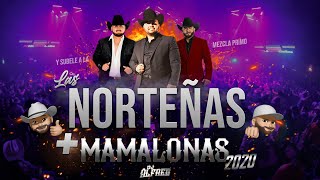 Las Norteñas Más Mamalonas del 2020 Mix By Dj Alfred  Con Ese Corazón Acurrucar Tu Basta [upl. by Amedeo]