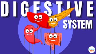 Digestive System Ingestion to Egestion Explained in Simple Words [upl. by Ahsaekal15]