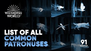 All Patronuses on Magical Mystery Pottermore  Common List  Hogwarts Legacy [upl. by Ladiv]