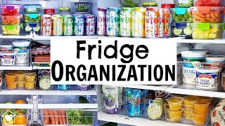 FRIDGE ORGANIZATION in 5 EASY STEPS  Clean amp Organize with Me [upl. by Euqininod27]