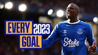 EVERY EVERTON GOAL IN 2023 [upl. by Innor]