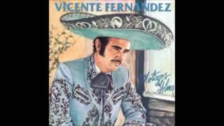 AUNQUE ME DUELA EL ALMA  VICENTE FERNANDEZ FULL AUDIO [upl. by Froehlich]