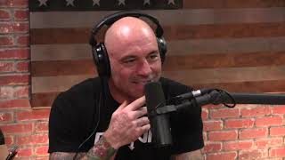 Joe Rogan on Catholic Priest Scandals [upl. by Donahoe]