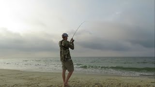 Surf Fishing St George Island Whiting Pompano Jack and Shark [upl. by Ynnot]