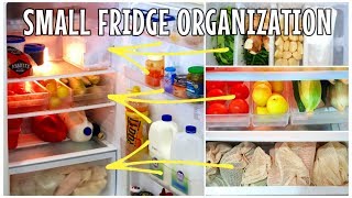 Small Fridge Organization  Food Storage Hacks  Ways to make your groceries last longer [upl. by Prasad]