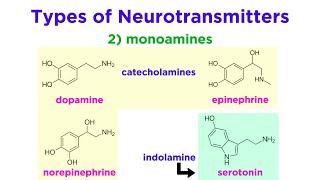 Neurotransmitters Type Structure and Function [upl. by Tory]