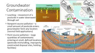 Environmental Concerns of Pesticide Use [upl. by Persas]