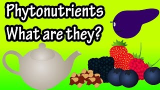 What are Phytochemicals or Phytonutrients [upl. by Otilegna]