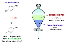 Separating Components of a Mixture by Extraction [upl. by Erinn]